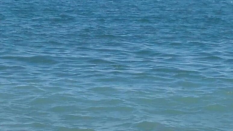 Marina di Massa Levante, divieto temporaneo di balneazione in 19 stabilimenti