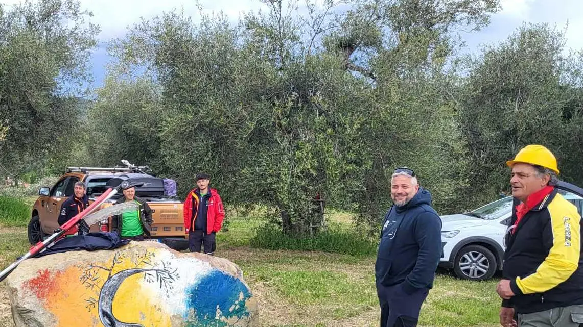 Olivi secolari, master di potatura con sessanta specialisti Olivi secolari, master di potatura con sessanta specialisti