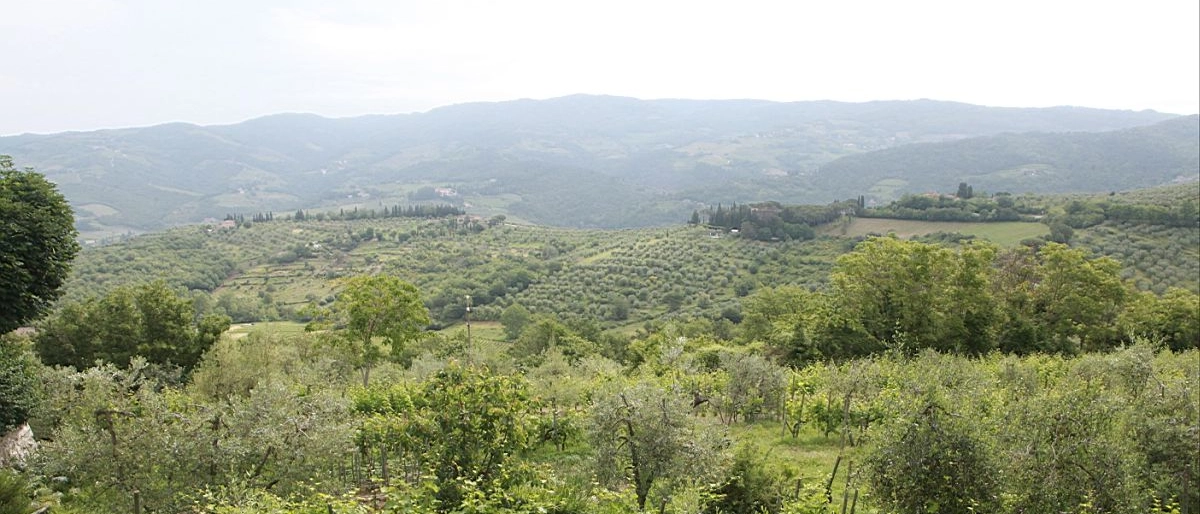 Il Chianti in versione sorbetto. La novità conquista l’Oriente