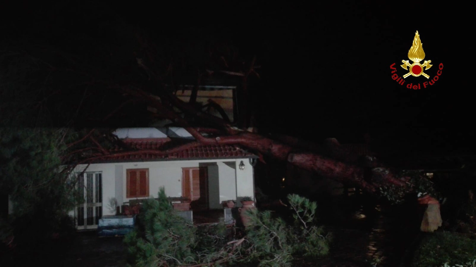 L'albero finito su una casa a Punta Ala (foto: vigili del fuoco)