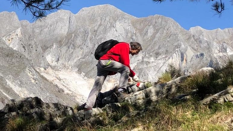 La cura della montagna La cura della montagna