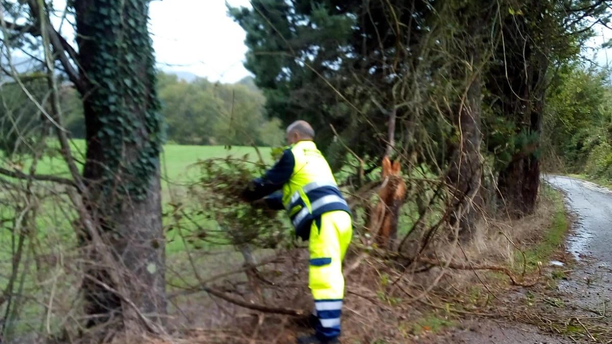 Gli uomini della Protezione civile hanno ripulito  la carreggiata, invasa dall’albero cadu