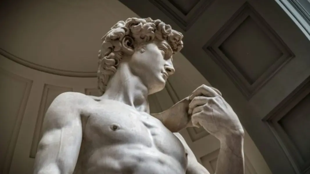 Il David di Michelangelo Il David di Michelangelo