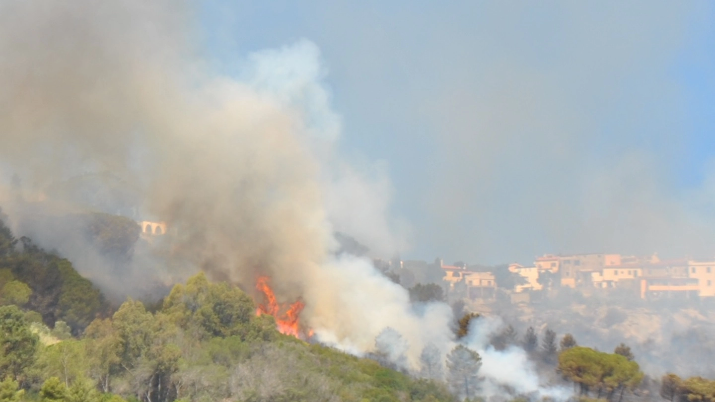 Incendio a San Piero, Isola d' Elba (foto Roberto Medici) 