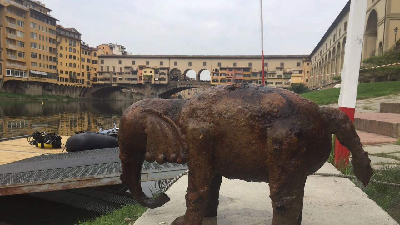 La statua di un elefante riemersa dall'Arno