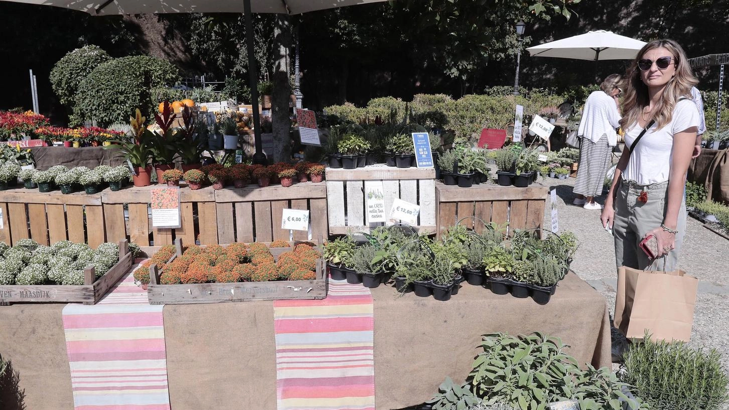 ’Siena in fiore’, tripudio di colori e profumi. Seconda giornata della mostra mercato ’Siena in fiore’, tripudio di colori e profumi. Seconda giornata della mostra mercato