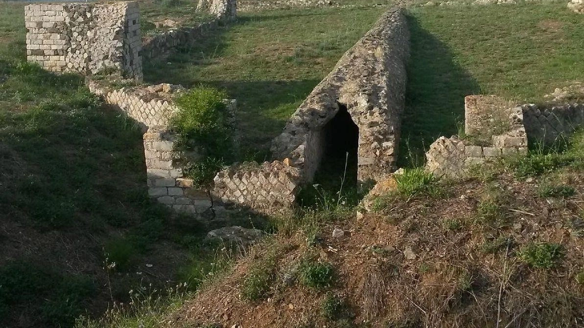 Archeologia. Etruria romana e alimentazione Archeologia. Etruria romana e alimentazione