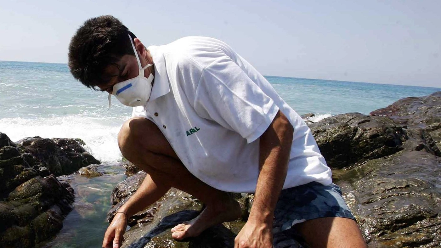  Prelievi di alga tossica da parte di un tecnico dell’Agenzia per la Protezione dell’Ambiente