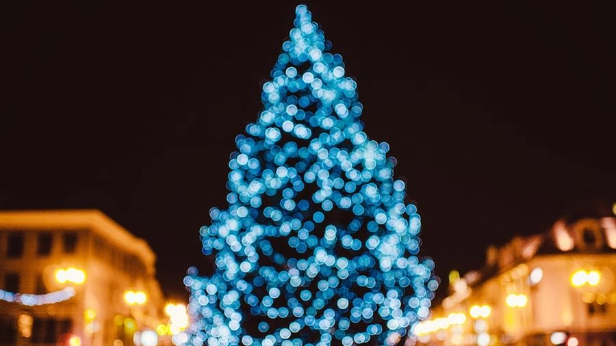 Un albero di Natale