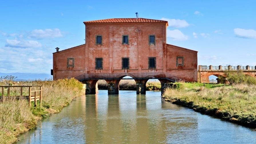 Diaccia Botrona. Iniziativa sinergica. Castiglione-Grosseto per la valorizzazione Diaccia Botrona. Iniziativa sinergica. Castiglione-Grosseto per la valorizzazione