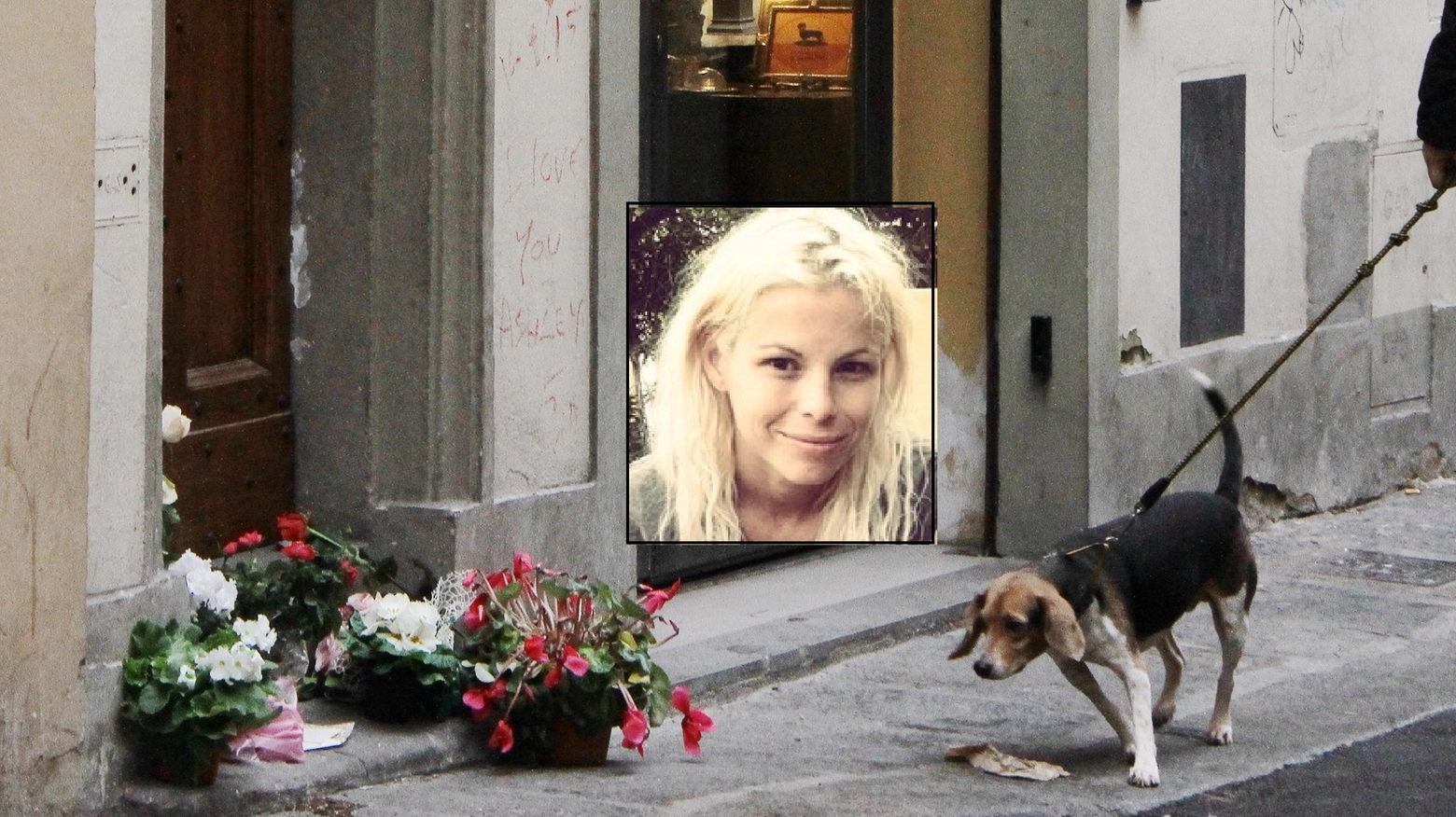Il cane di Ashley Olsen (nel riquadro) sul luogo dell'omicidio (New Press Photo)