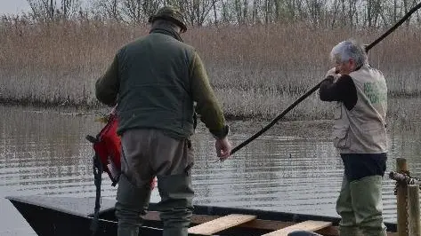 Le meraviglie del Padule sono state protagoniste a "Uno Mattina" Le meraviglie del Padule sono state protagoniste a "Uno Mattina"