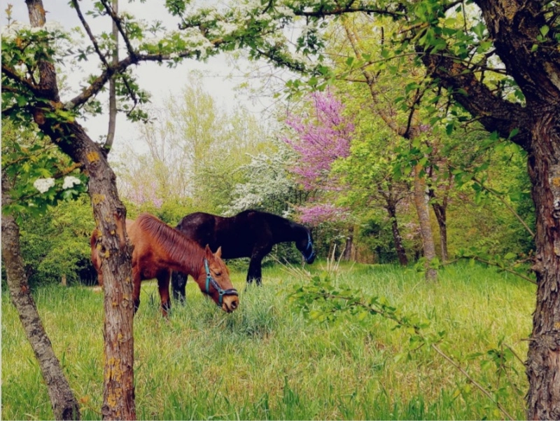 immagine di sfondo 6