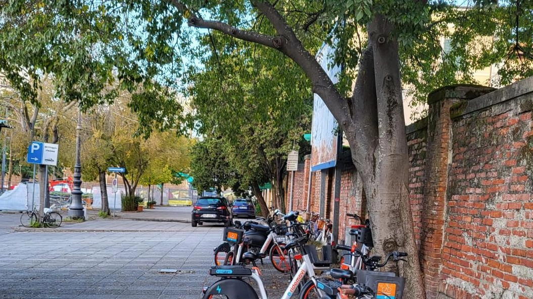 “Danno e beffa per le cento bici rimosse il 31“ “Danno e beffa per le cento bici rimosse il 31“