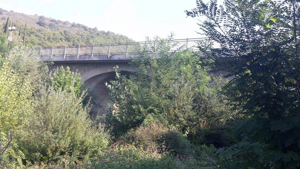 Ponte dell'Arno a Rassina
