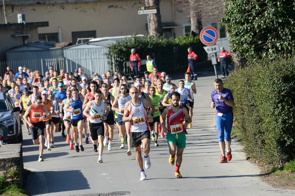 immagine di sfondo 6