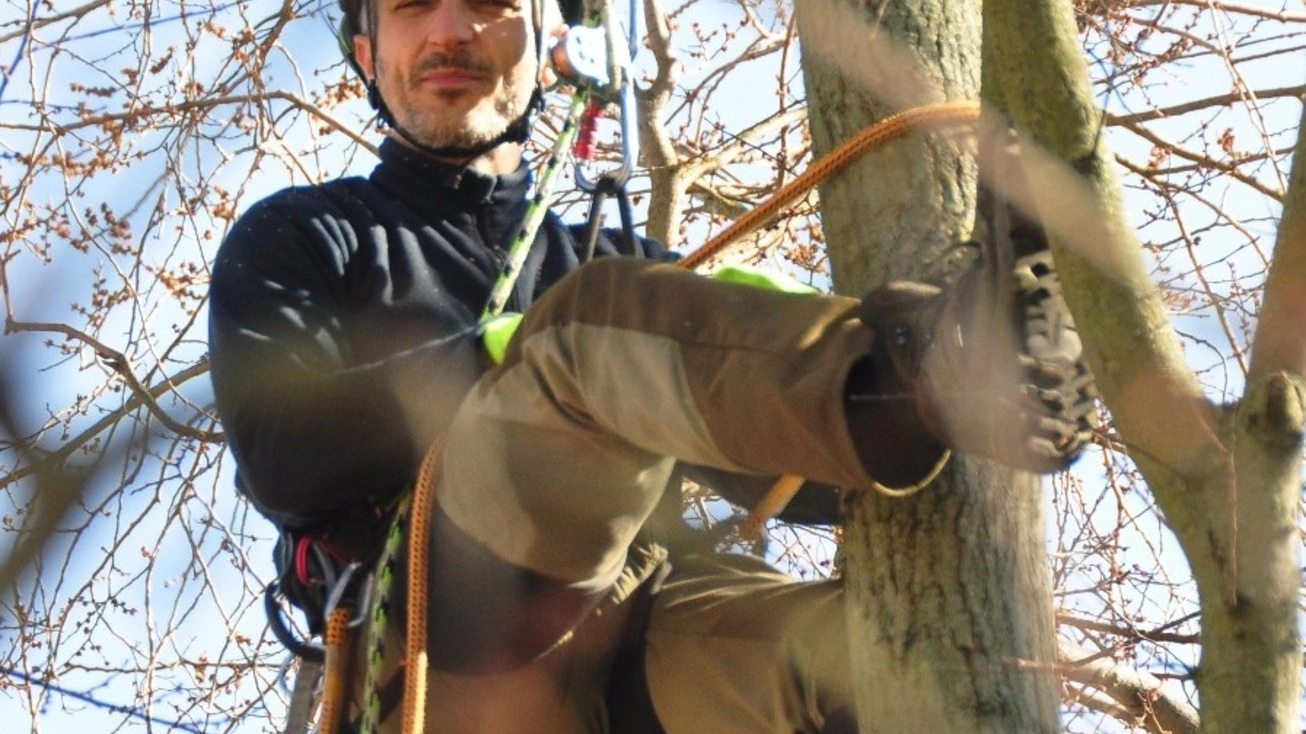 Un esperto di alberi e potatura: Fabio Anibaldi