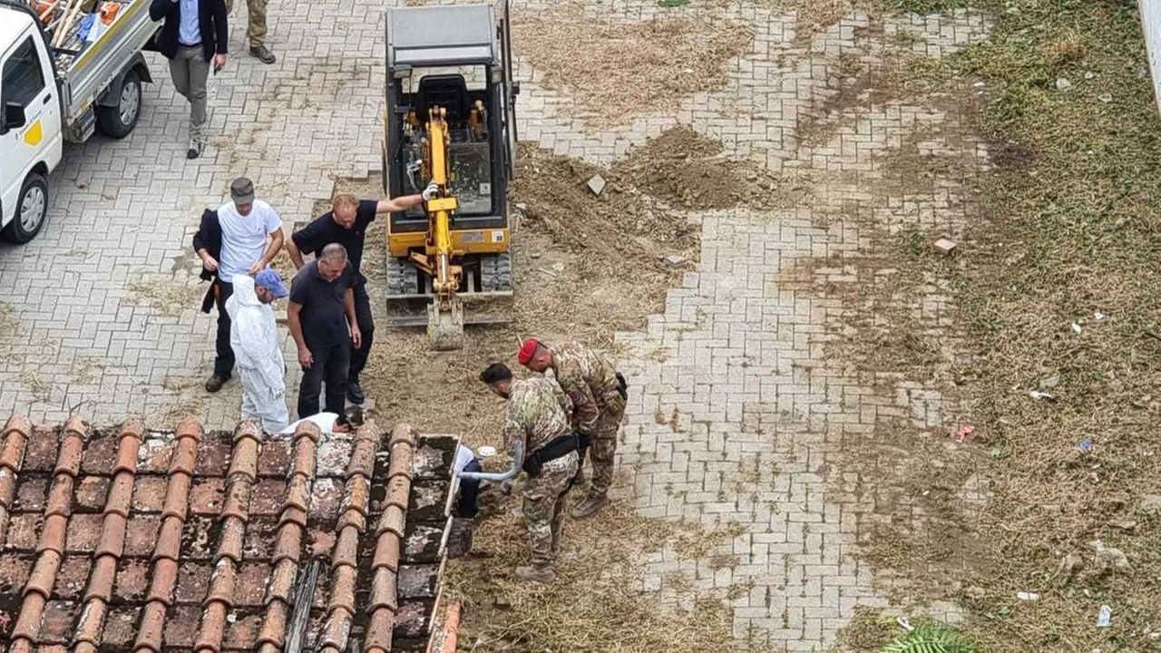 immagine di sfondo 8
