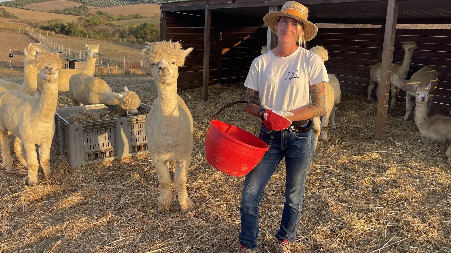 Fertilizzante green. La nuova sfida da Sasso d’Ombrone. Ecco "Alpacafert" Fertilizzante green. La nuova sfida da Sasso d’Ombrone. Ecco "Alpacafert"