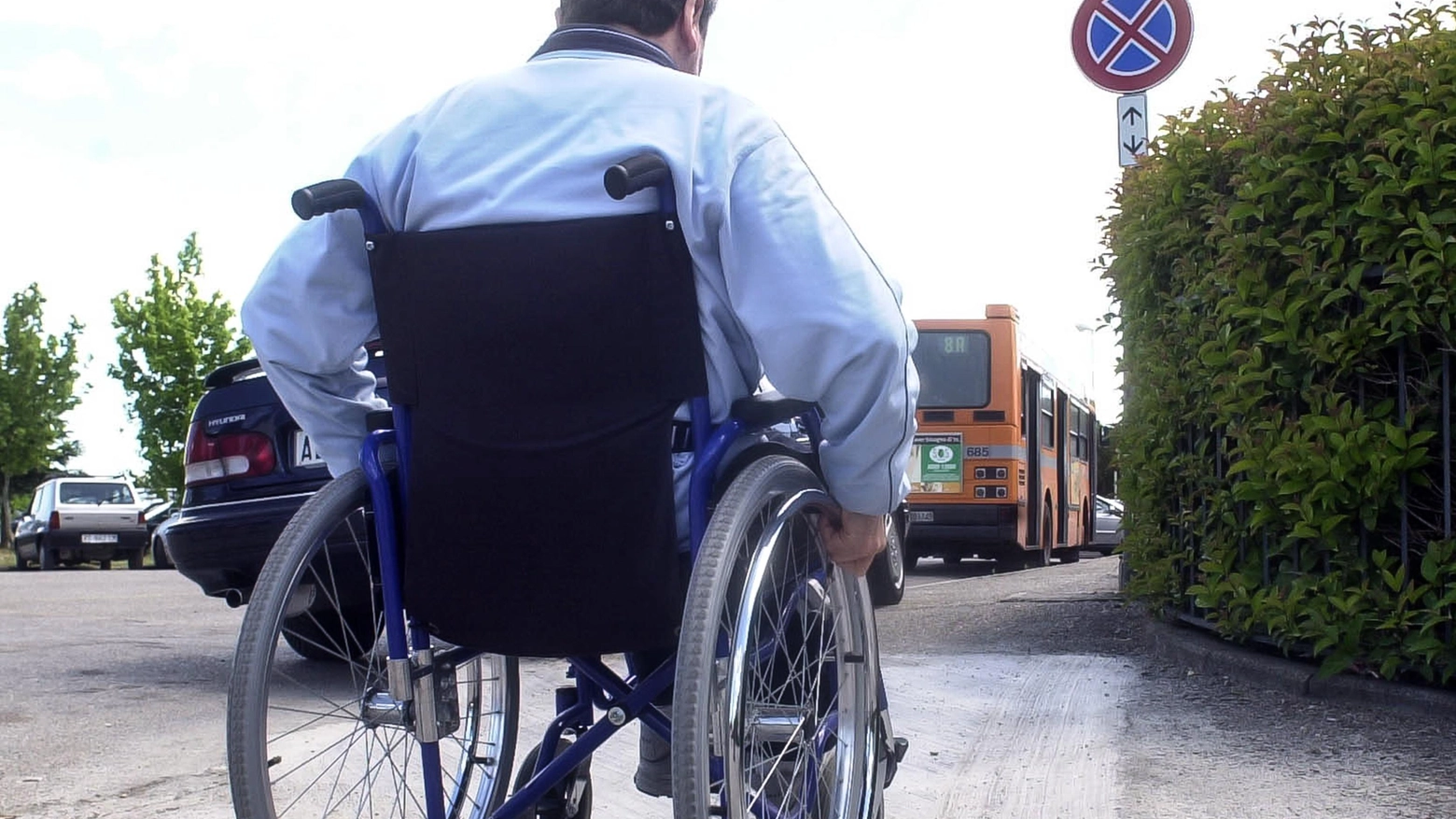 Alice Pioli è la nuova Garante delle persone con disabilità Alice Pioli è la nuova Garante delle persone con disabilità