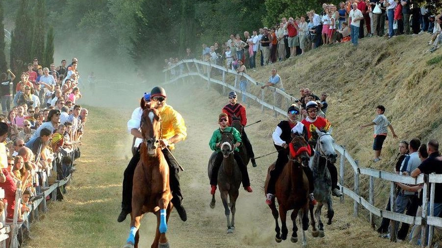 Scoperto il drappellone del Palio Un omaggio alla storia di Casole dipinto da un talento del luogo Scoperto il drappellone del Palio Un omaggio alla storia di Casole dipinto da un talento del luogo