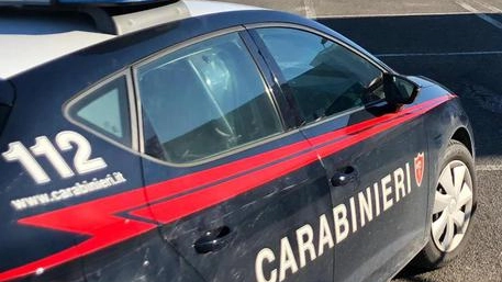 Sul fatto indagano i carabinieri Sul fatto indagano i carabinieri