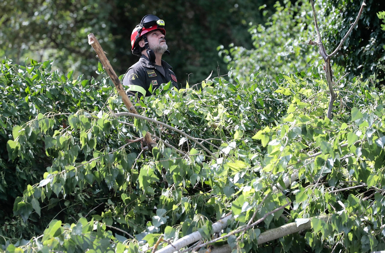 immagine di sfondo 7
