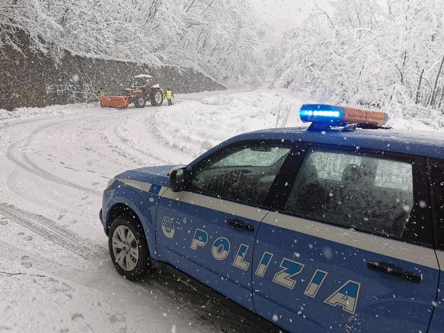 immagine di sfondo 4