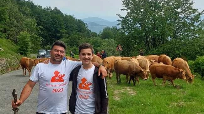 L’eterno rito della transumanza Un centinaio di mucche e vitelli in marcia fino al Monte Molinatico L’eterno rito della transumanza Un centinaio di mucche e vitelli in marcia fino al Monte Molinatico