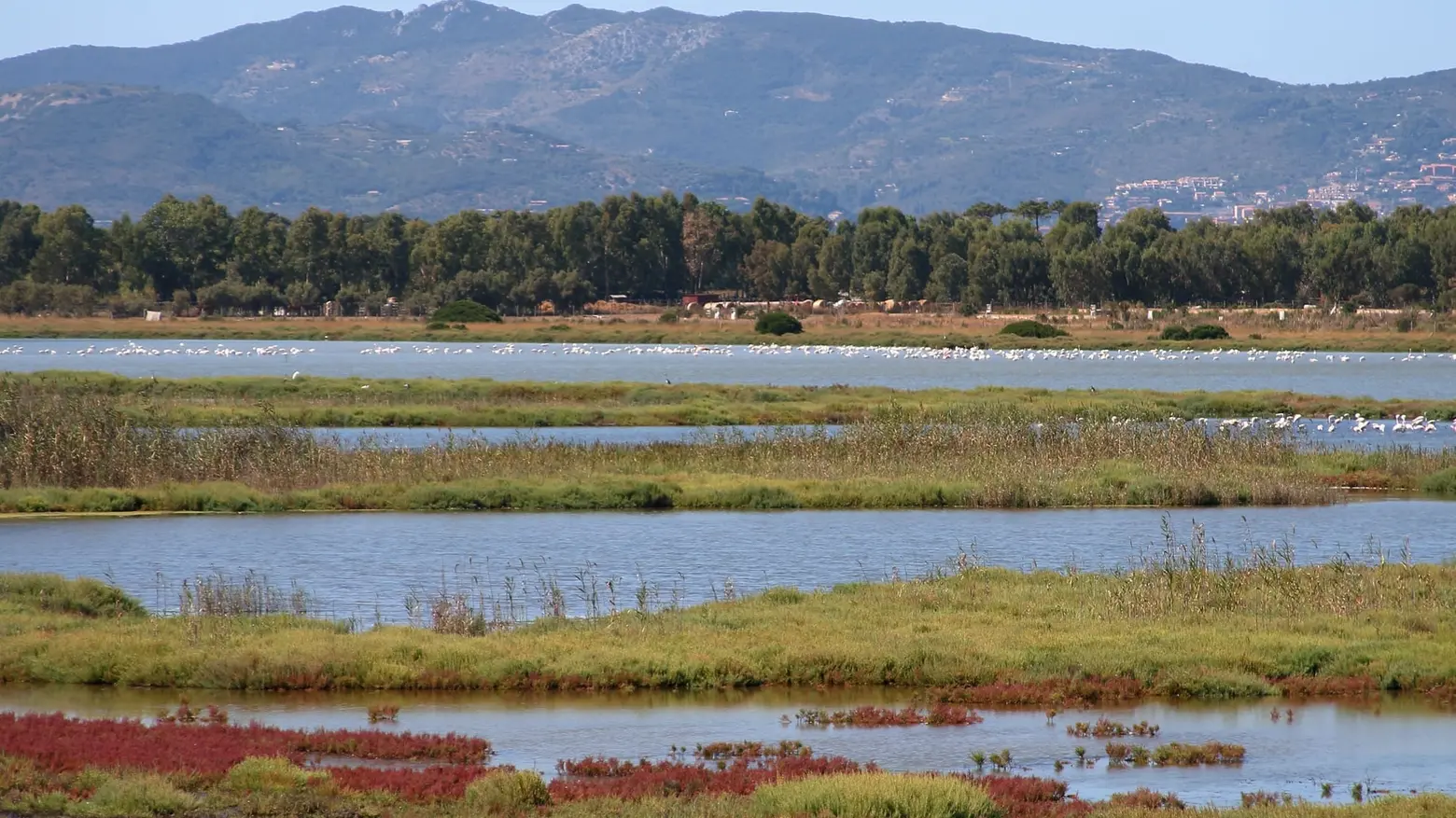 Laguna di Orbetello Laguna di Orbetello