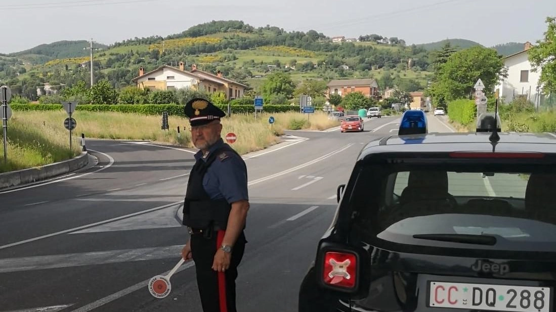 Rubano grondaie dalle case Arrestati due giovani Rubano grondaie dalle case Arrestati due giovani