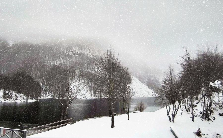 immagine di sfondo 1
