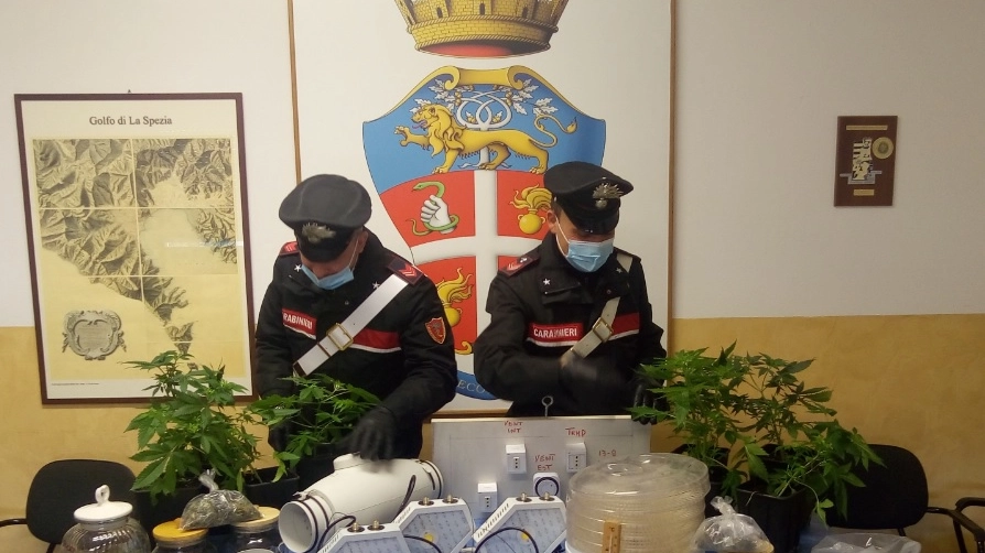 I carabinieri con il materiale  sequestrato