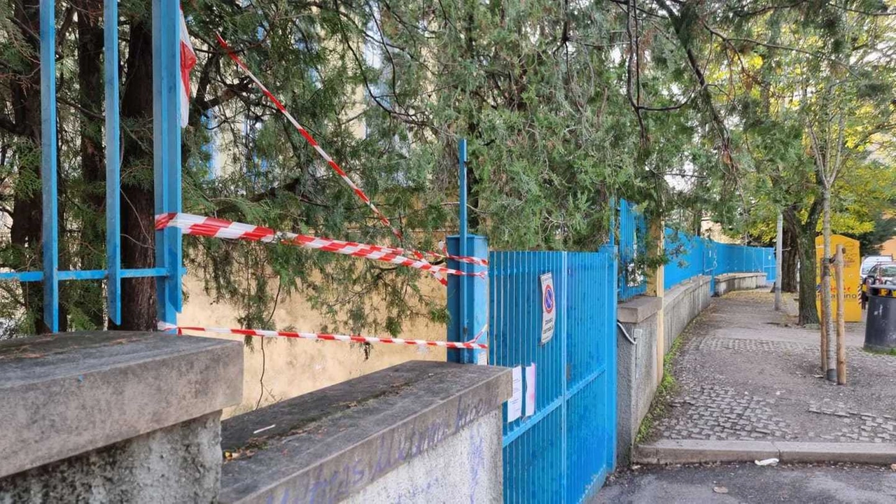 immagine di sfondo 3