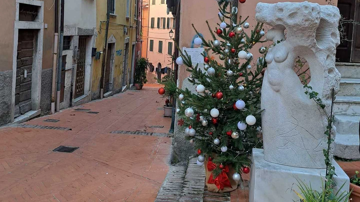 L’albero di Natale di Grazzano è stato rubato e le palle e gli addobbi distrutti con grande delusione dei bambini