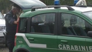 Carabinieri forestali 