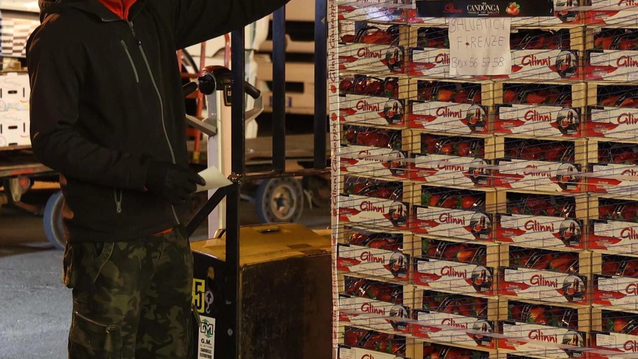 Il maxi furto nel week end. Colpo da Diabolik alla Mercafir. Via 120mila euro dalla cassaforte