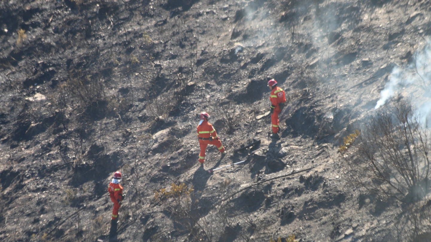 Incendio sul Monte Serra, ecco cosa resta dei boschi