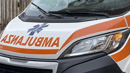 Aggredita da due pitbull: "Ho lottato, ero terrorizzata"