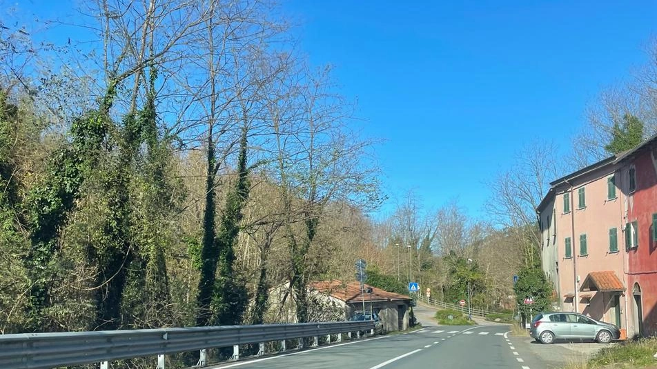 L’ente costretto ad annullare in autotutela l’acquisto di delineatori di margine. La lotta al parcheggio abusivo lungo la statale Aurelia si fa più complicata. .