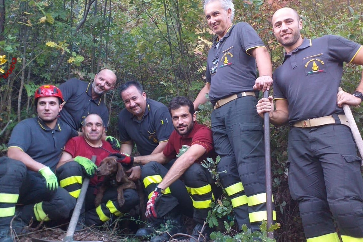 I vigili del fuoco con il cane