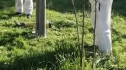 Aspettando le bonifiche Via al monitoraggio semestrale per accertare le contaminazioni Aspettando le bonifiche Via al monitoraggio semestrale per accertare le contaminazioni