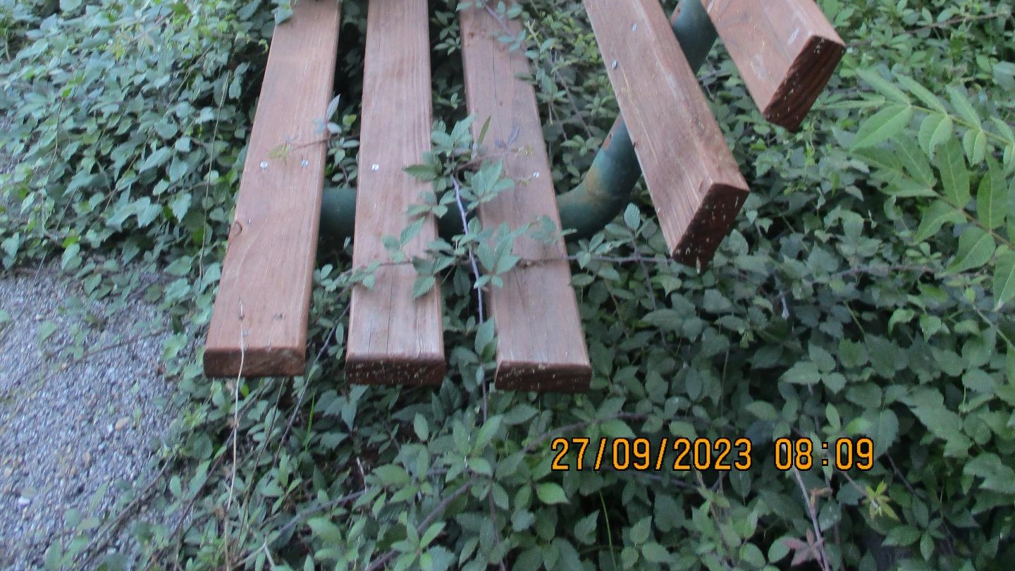 Pallotta, il ’brutto verde’ "Piante infestano persino semafori, cartelli e panchine" Pallotta, il ’brutto verde’ "Piante infestano persino semafori, cartelli e panchine"