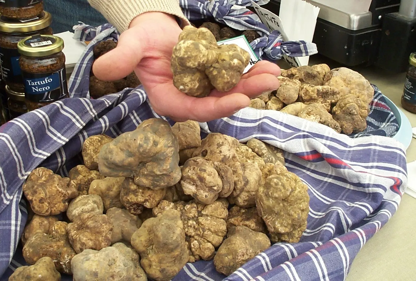 Tartufo, principe delle feste Prezzi in calo e tante occasioni