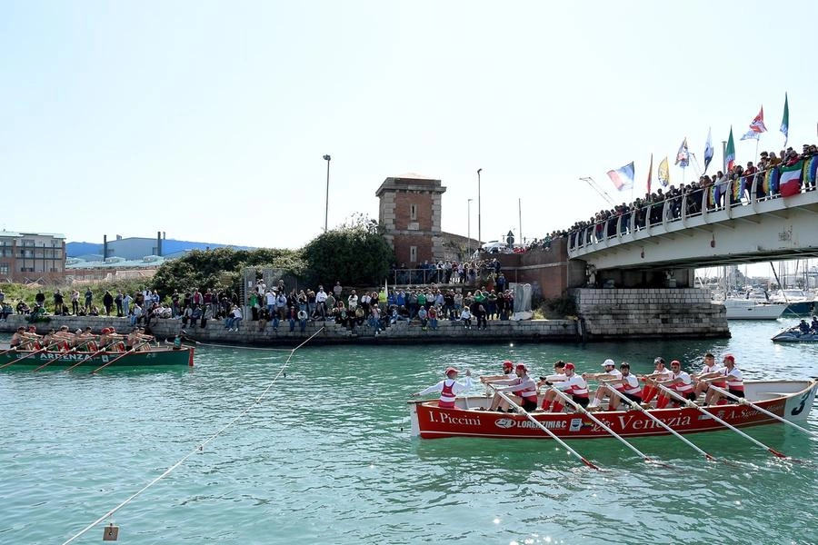 immagine di sfondo 33