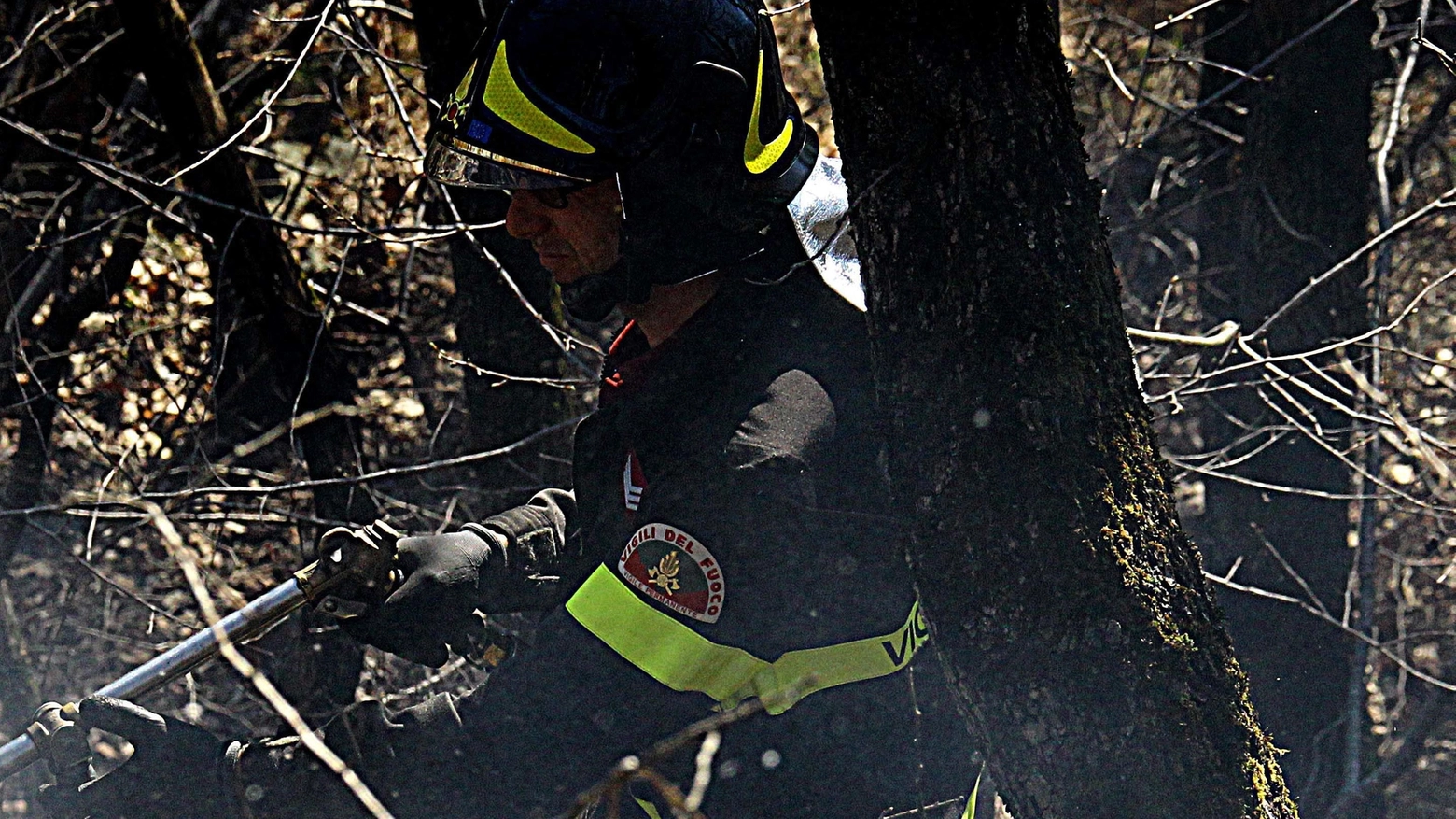 Due giorni ad alto rischio incendi boschivi su tutto il territorio Due giorni ad alto rischio incendi boschivi su tutto il territorio