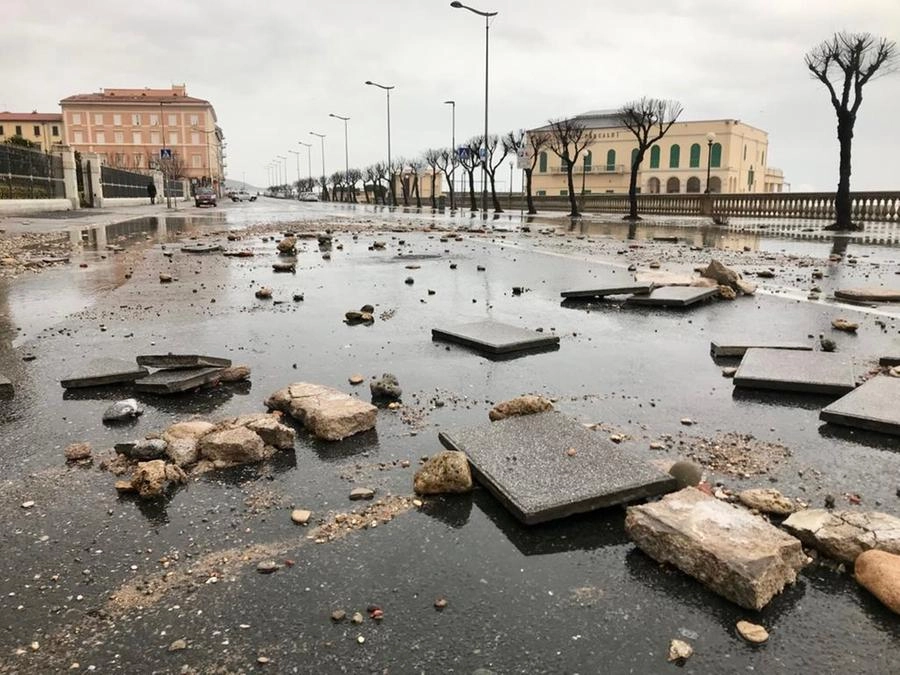 immagine di sfondo 6