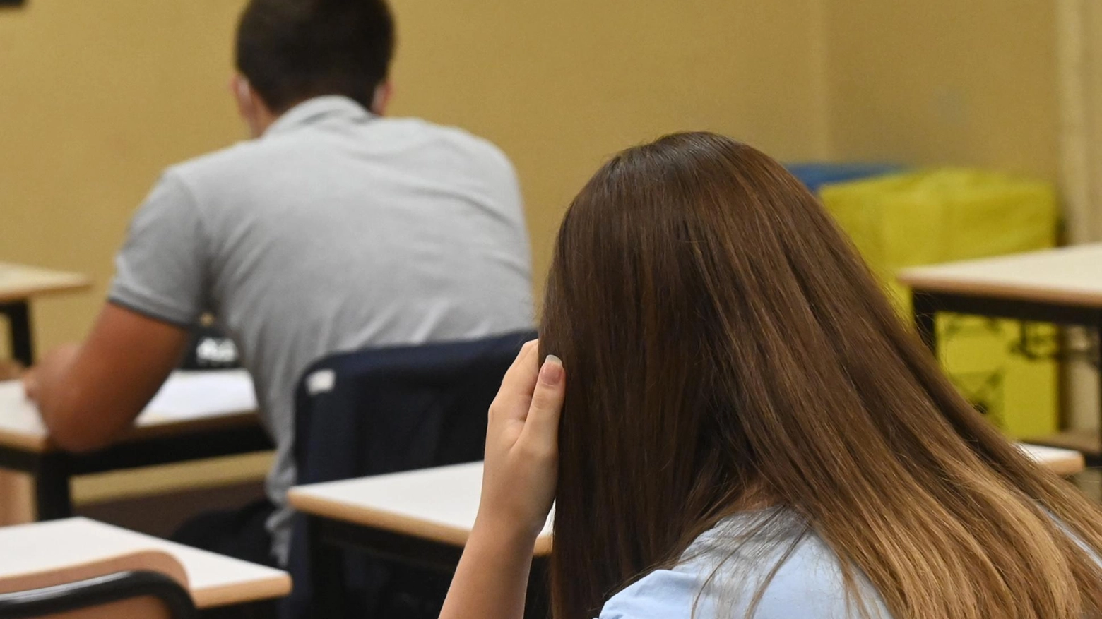 "No alle figure di tutor e orientatore". Chiaro l’esito del voto: il collegio dei docenti dell’Isi Barga li boccia "No alle figure di tutor e orientatore". Chiaro l’esito del voto: il collegio dei docenti dell’Isi Barga li boccia