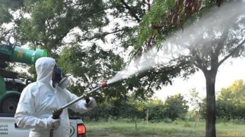 Disinfestazione partita dopo la minaccia Dengue Disinfestazione partita dopo la minaccia Dengue