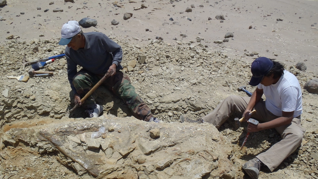 Gli scavi in Perù 